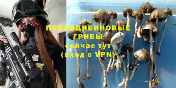 винт Абинск