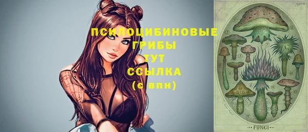 мескалин Алексин