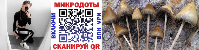 продажа наркотиков  Хадыженск  Галлюциногенные грибы MAGIC MUSHROOMS 